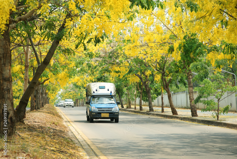 Two rows seat bus on golden shower tree road : Khon Kaen, Thailand