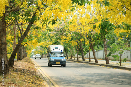 Two rows seat bus on golden shower tree road : Khon Kaen, Thailand