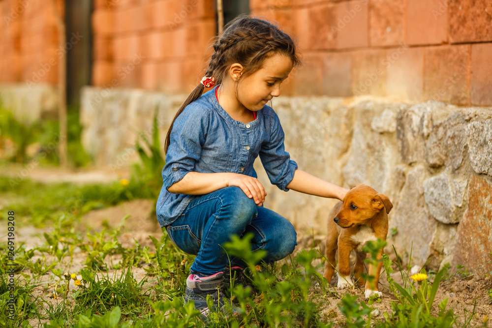 Girl with puppy in a spring Girl with puppy in a spring