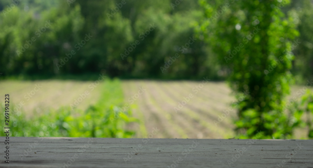 wooden table on blurred background of nature of forest and park wooden table on blurred background of nature of forest and park