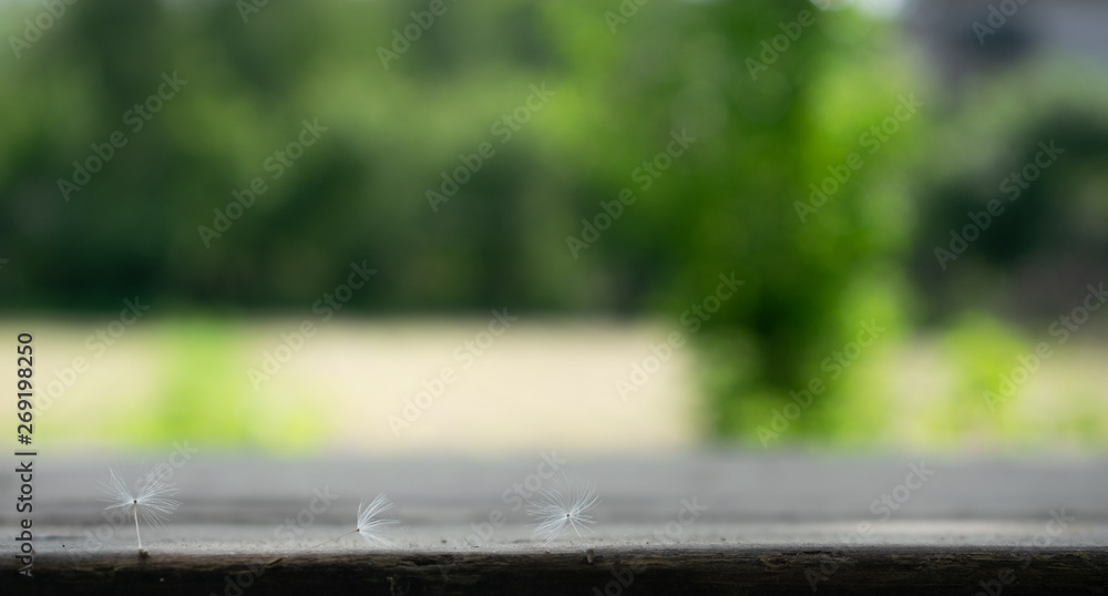 wooden table on blurred background of nature of forest and park wooden table on blurred background of nature of forest and park