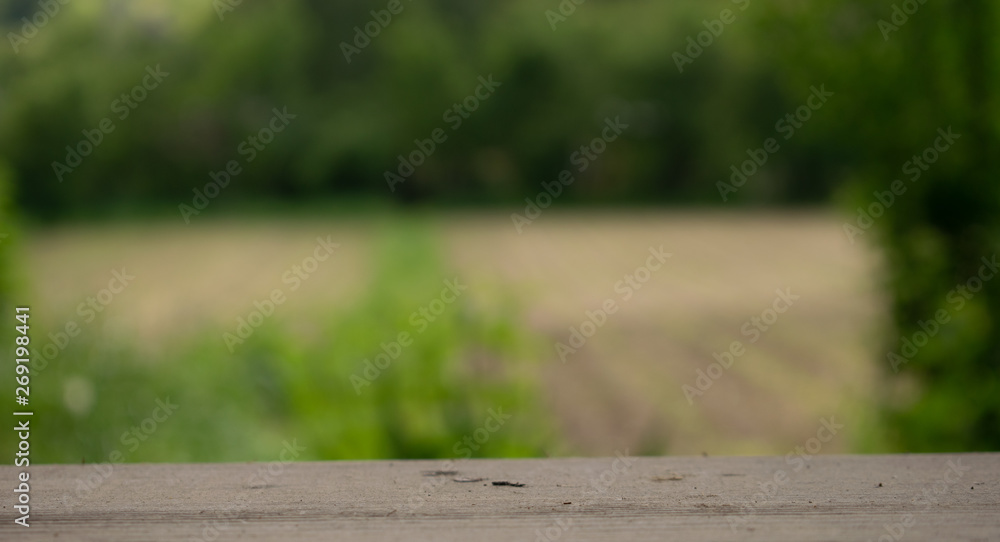 wooden table on blurred background of nature of forest and park wooden table on blurred background of nature of forest and park