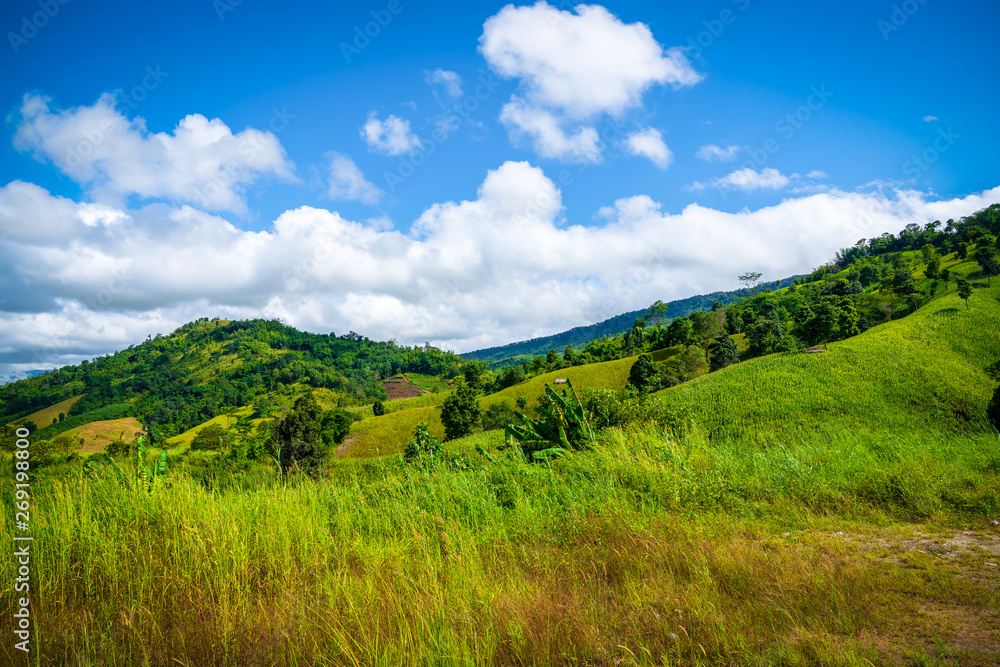 Naklejka premium Blue sky high peak mountains fog hills mist scenery national park views at Phu Tub Berk, Khao Koh, Phetchabun Province, Thailand