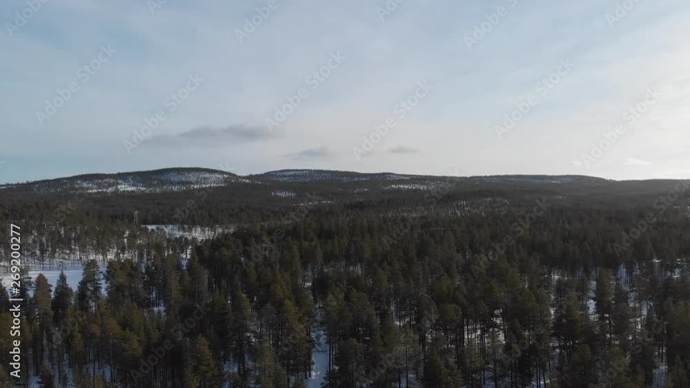Aerial panoramic view of a forest covered with snow and mountains as background. Drone flying backwards Aerial panoramic view of a forest covered with snow and mountains as background. Drone flying backwards