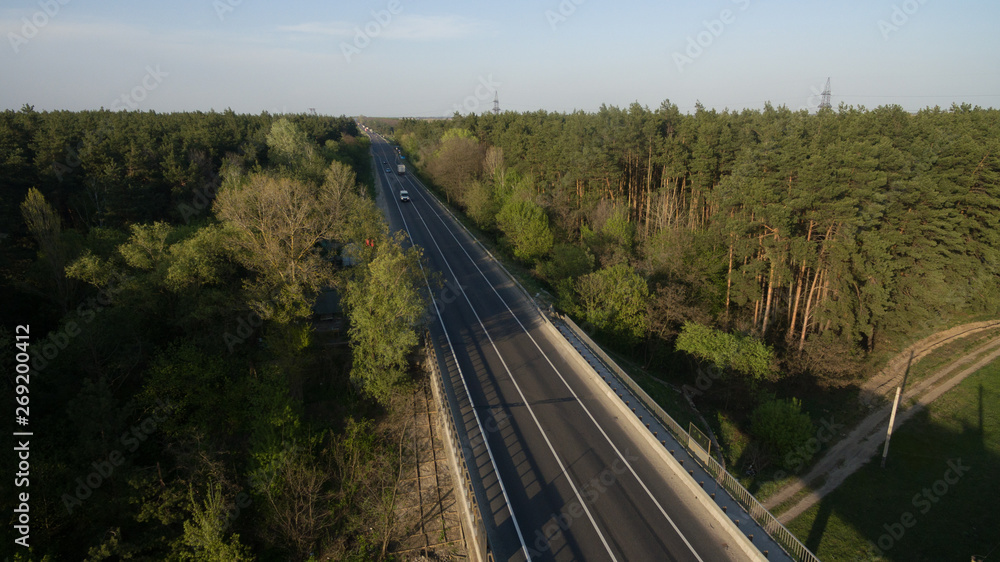 View from the height of the green forest and the road