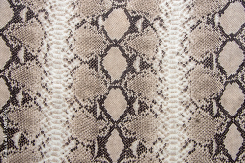 Quadro su tela Snake skin pattern
