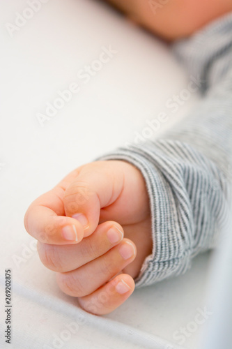 newborn baby hand on white background © Elisa