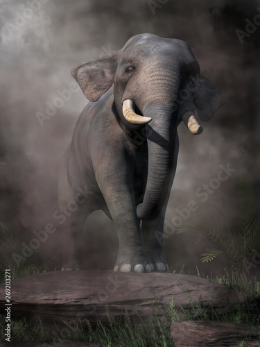 Out of the dense fog  an Asian elephant lumbers towards you with its tusks raised.and its trunk drawn back.  This mighty animal appears at once majestic and threatening. 3D Rendering
