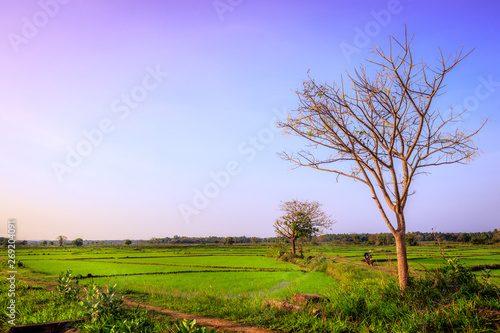 Beautiful landscape of agricultural land