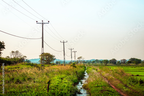 Power lines through agricultural lands
