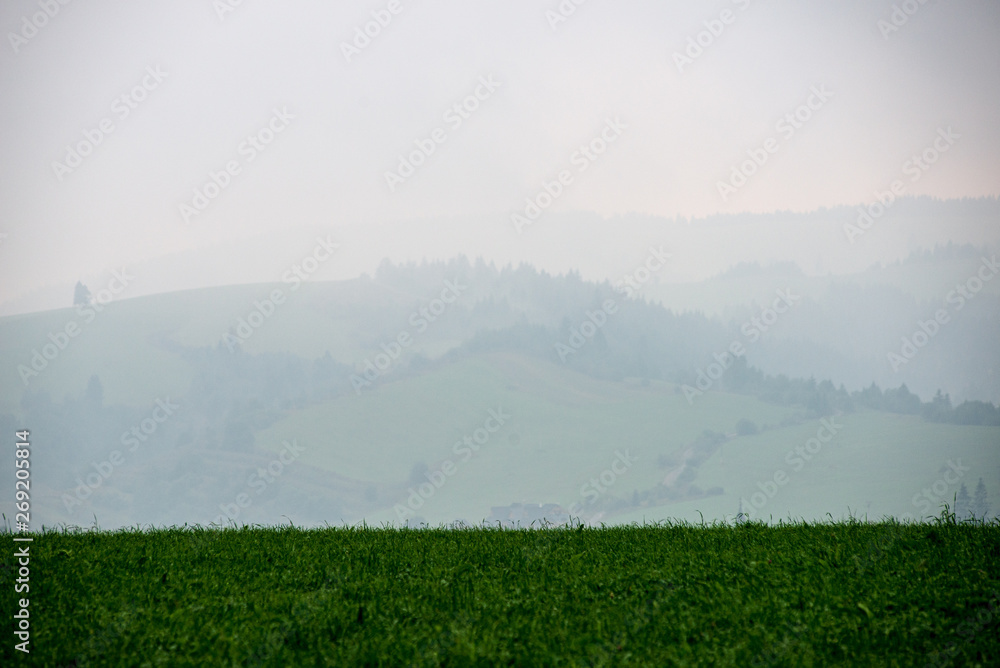 misty and cloudy sunrise above green fields and forests