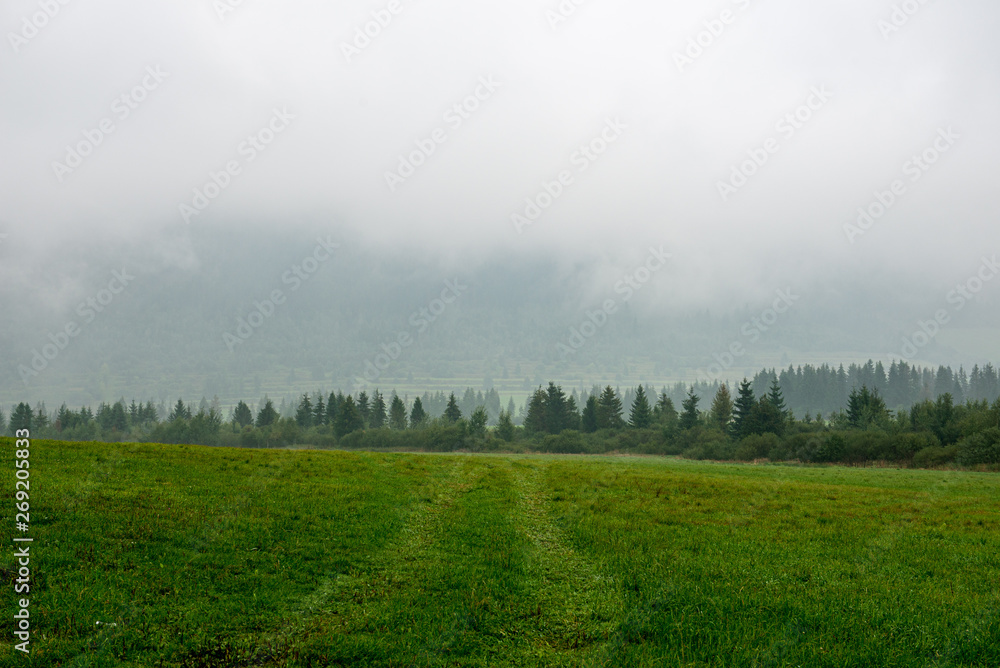 misty and cloudy sunrise above green fields and forests misty and cloudy sunrise above green fields and forests