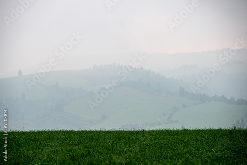 misty and cloudy sunrise above green fields and forests