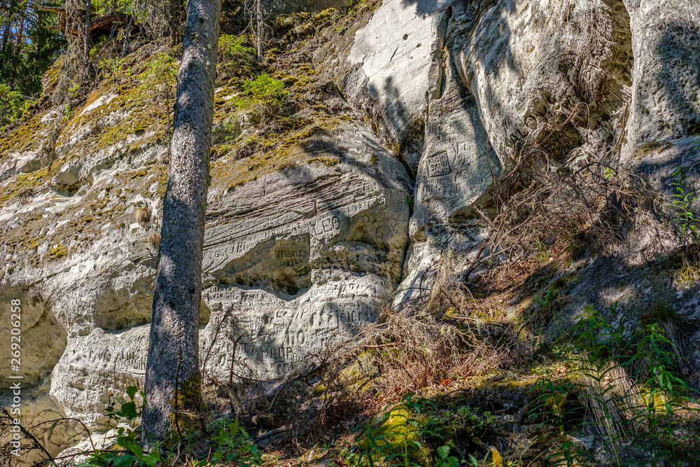 natural sand stone cliffs on the shore of the river in forest