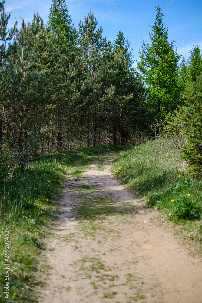 dirty gravel countryside gravel road in summer dirty gravel countryside gravel road in summer