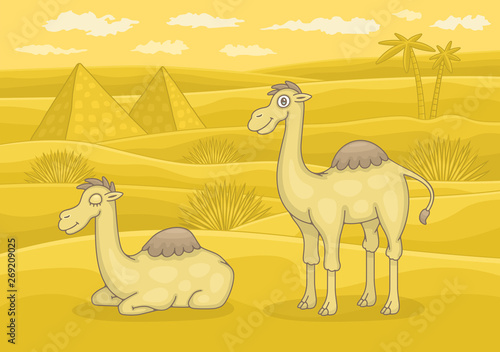 Two camels in desert. Funny cartoon and vector illustration
