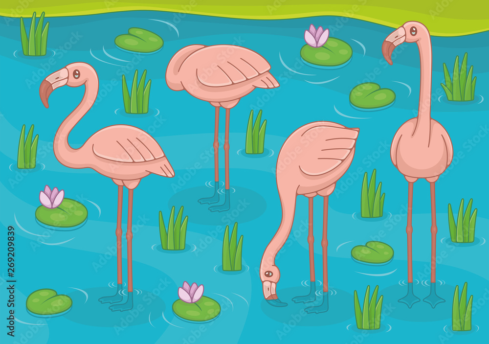 Obraz premium Group of Pink Flamingos standing in lake. Funny cartoon and vector illustration