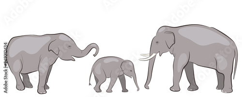 Family of elephants isolated on white background, vector set of Asian elephants