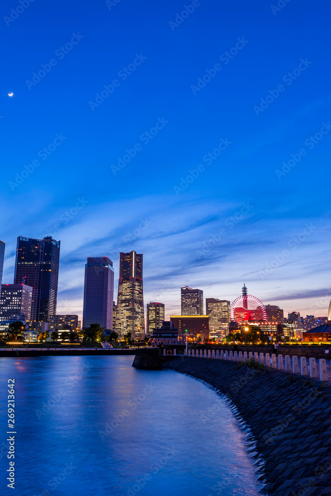 Fototapeta premium 象の鼻パークと横浜みなとみらいの夜景