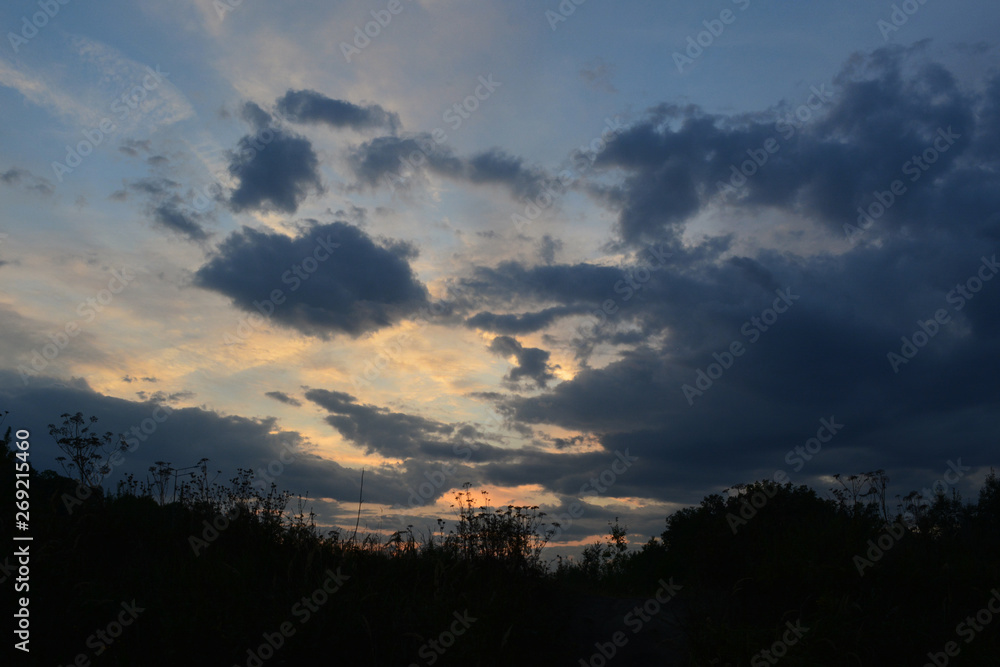 Beautiful sunset sky with dark clouds. Silhouettes of herbs on foreground. Beautiful sunset sky with dark clouds. Silhouettes of herbs on foreground.