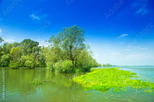 Beautiful landscape in nature park Lonjsko polje, Croatia, from air, panoramic view, flooded field in spring