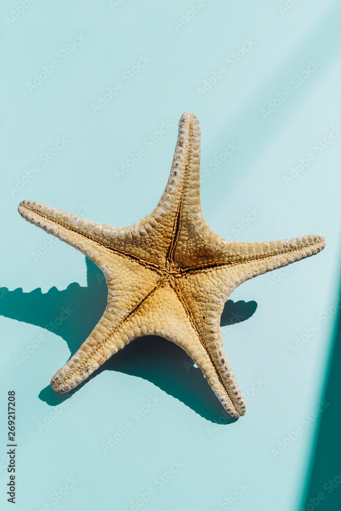 Starfish on turquoise bakground, tavel and summer concept Starfish on turquoise bakground, tavel and summer concept
