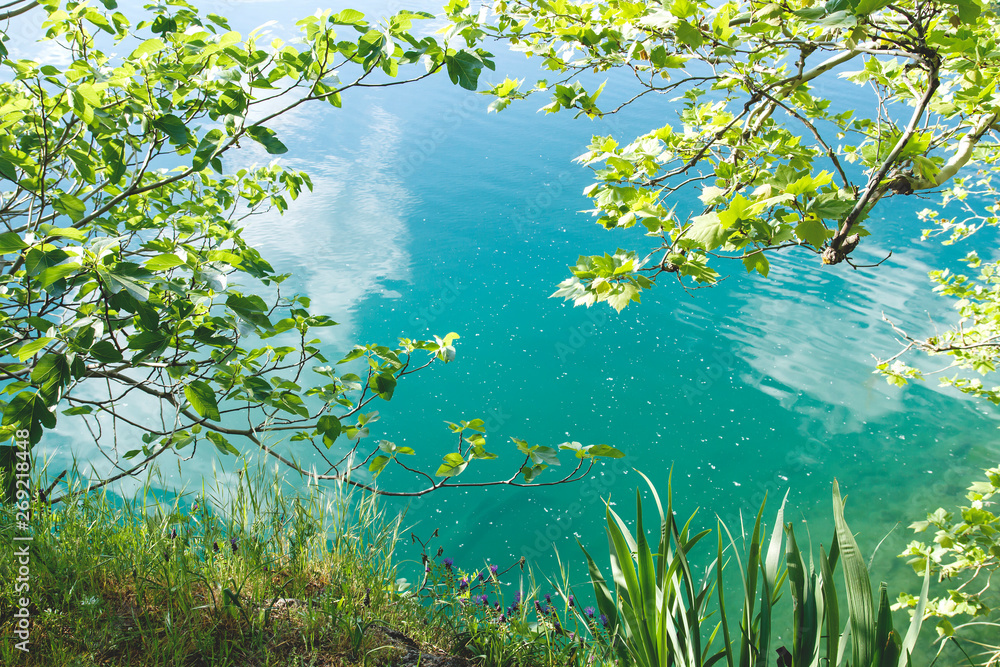 Blue turquoise water and green wild vegetation Blue turquoise water and green wild vegetation