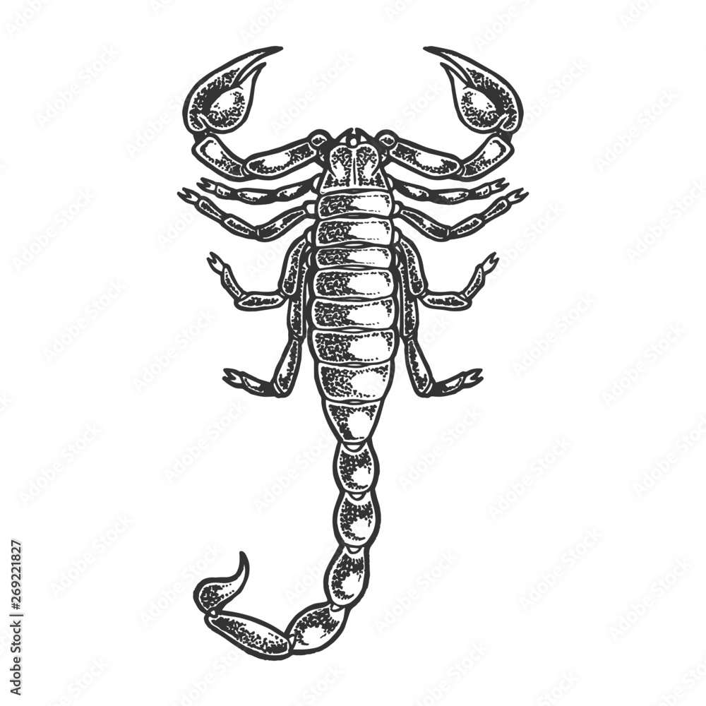 Scorpion Sketch Line Art Engraving Vector Illustration Scratch Board Style Imitation Black And White Hand Drawn Image Stock ベクター Adobe Stock Scorpion Sketch Line Art Engraving Vector Illustration Scratch Board Style Imitation Black And White Hand Drawn Image Stock ベクター Adobe Stock