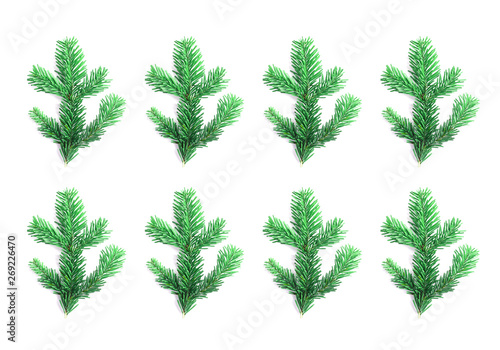 spruce branches pattern on white background. flat lay composition