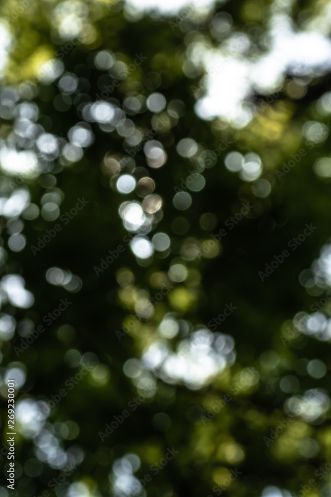Green leaves with bokeh effect
