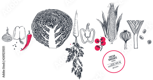Fresh organic food vector illustration
