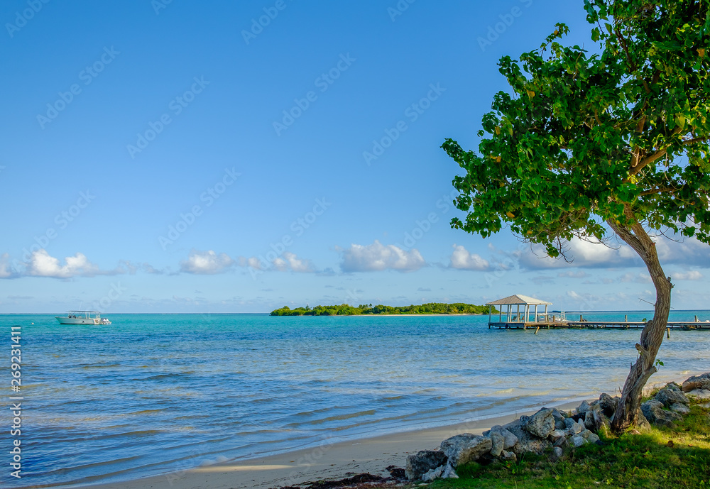 Little Cayman, Cayman Islands, beach on South Hole Sound