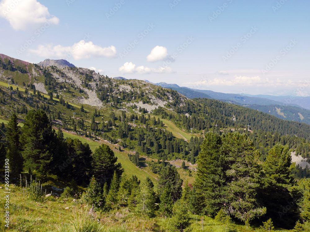 Naklejka premium le verdi montagne dolomitiche in italia, in estate