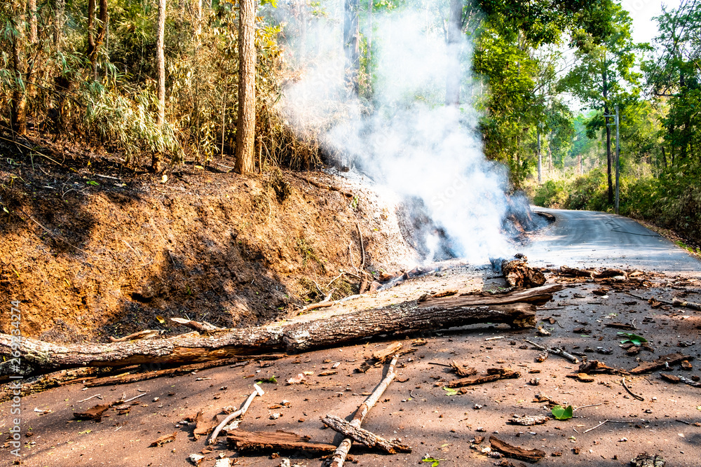A severe wildfire burnt the trees in the forest until they collapsed and blocked the country road to the mountain village in Chiang Mai, Thailand. A severe wildfire burnt the trees in the forest until they collapsed and blocked the country road to the mountain village in Chiang Mai, Thailand.