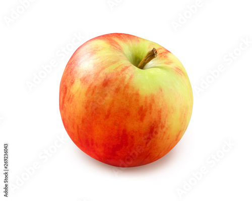 Obraz na plátně Apfel Cox-Rubens