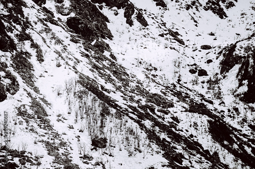 View of alps in Yumthang valley