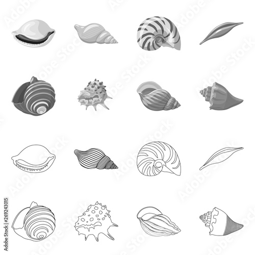 Vector illustration of animal and decoration symbol. Collection of animal and ocean stock symbol for web. © Svitlana