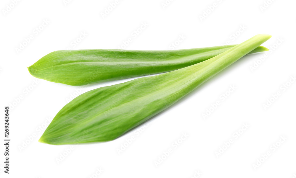 Leaves of wild garlic or ramson isolated on white Leaves of wild garlic or ramson isolated on white
