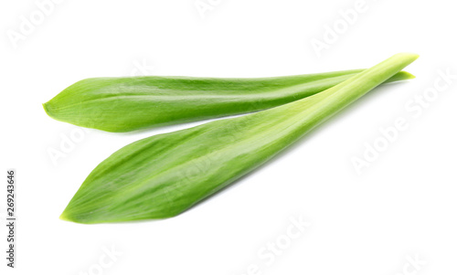 Leaves of wild garlic or ramson isolated on white