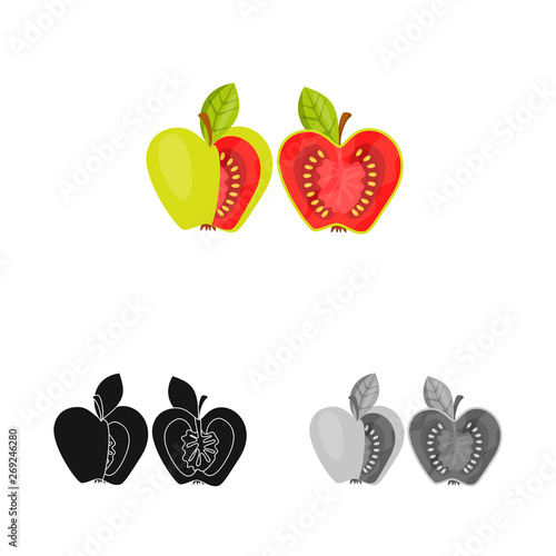 Vector illustration of tomato and apple icon. Set of tomato and fruit vector icon for stock.