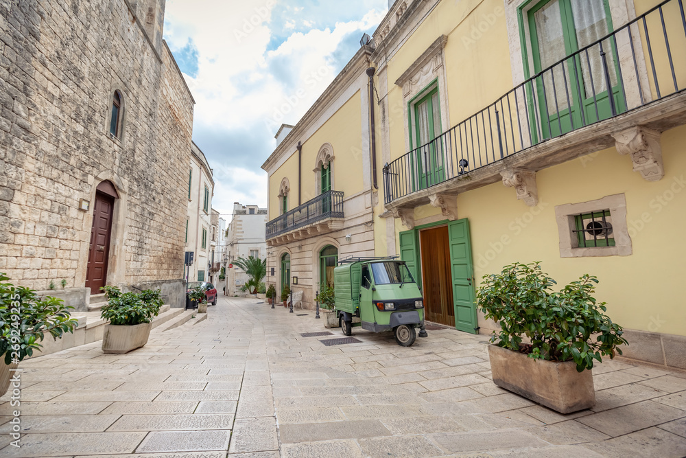 View of the old town of Martina Franca with a beautiful houses among greenery.