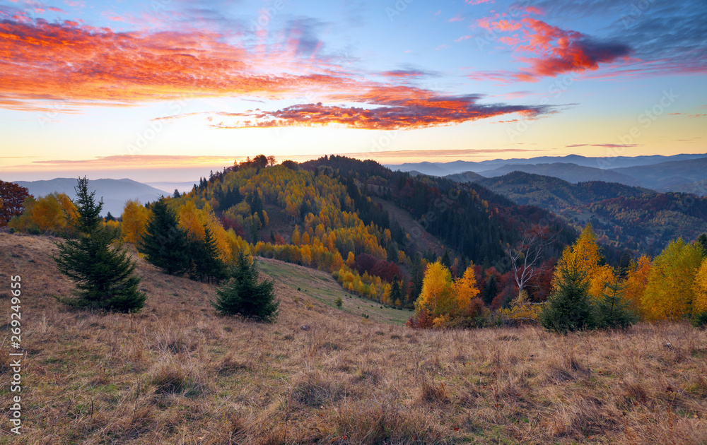 A beautiful landscape with high mountains, sky with clouds and sunset. Location place Carpathians Ukraine Europe. Unbelievable sunny day. There is a nice lush trees on the lawn with orange leaves. A beautiful landscape with high mountains, sky with clouds and sunset. Location place Carpathians Ukraine Europe. Unbelievable sunny day. There is a nice lush trees on the lawn with orange leaves.