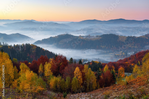 Majestic autumn rural scenery. Landscape with beautiful mountains, fields and forests covered with morning fog. There are trees on the lawn full of orange leaves. Picturesque resort Carpathian, Europa © Vitalii_Mamchuk