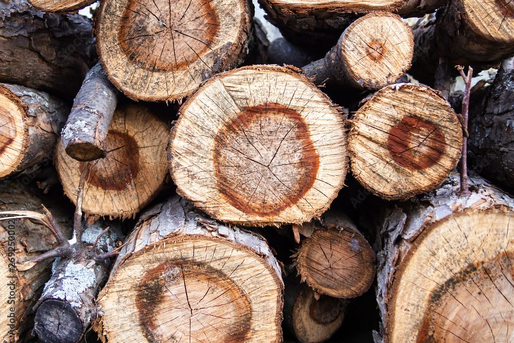 natural textured background of timber log, pile of various wood log