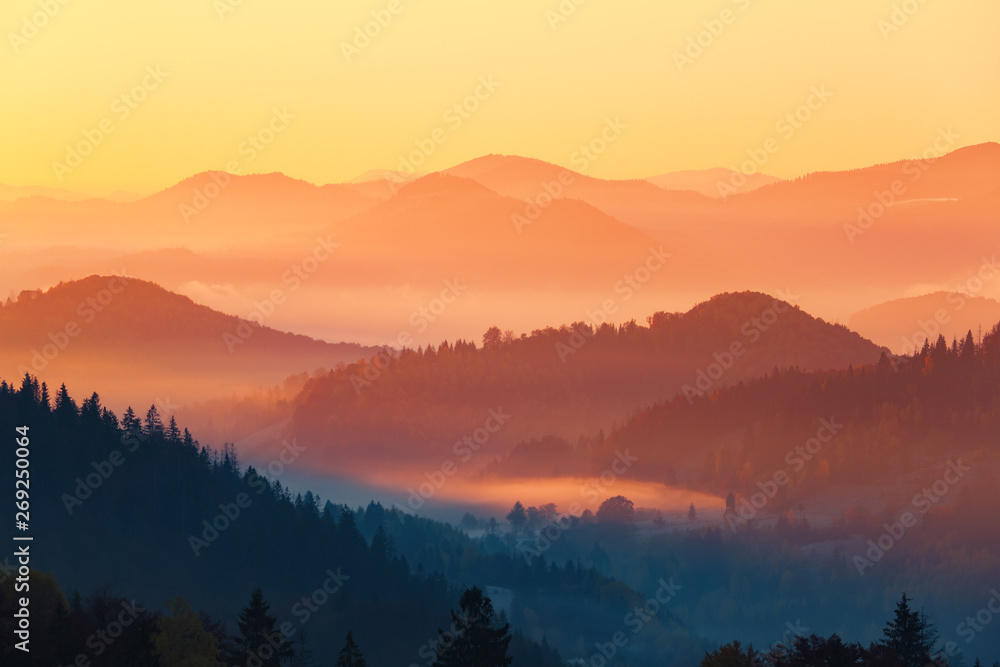 Landscape with beautiful mountains, fields and forests covered with thick morning fog. Interesting sunrise enlightens surroundings. Fantastic autumn day. Picturesque resort. Rural scenery.