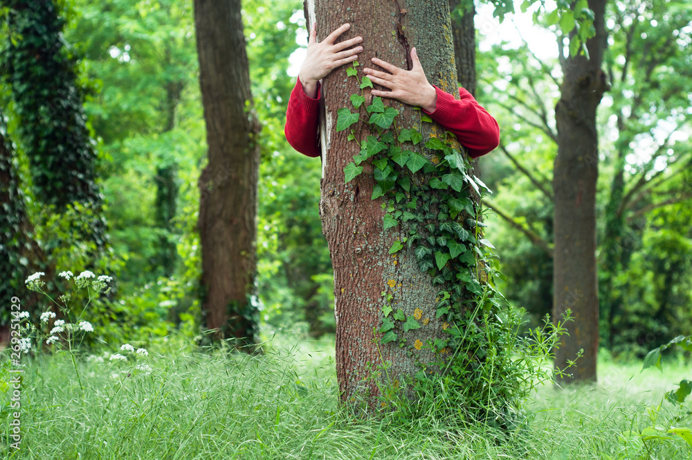 closeup of man hugging a tree trunk in a forest closeup of man hugging a tree trunk in a forest
