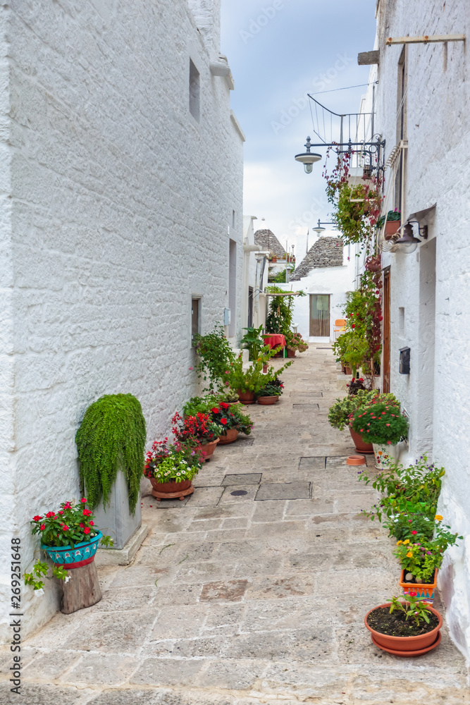 Fototapeta premium Piękne miasto Alberobello z domami Trulli wśród zielonych roślin i kwiatów, region Apulia, południowe Włochy.