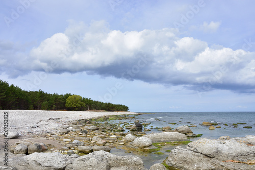 Am Leuchtturm von Fårö auf Gotland