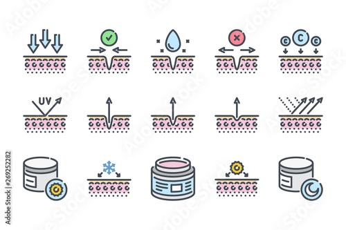 Skin care related color line icon set. Skin cells and layers colorful linear icons. Skin beauty flat color outline vector sign collection.