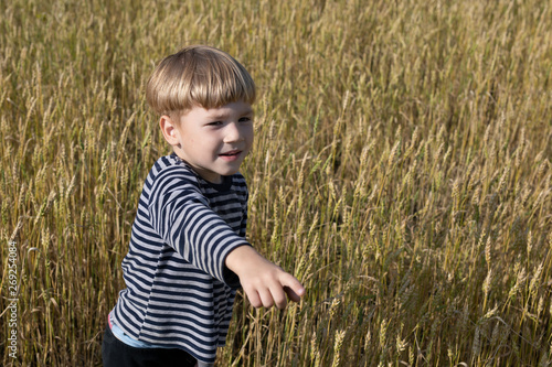Little boy on a wheat field. Nature in the country. Boy points a finger.